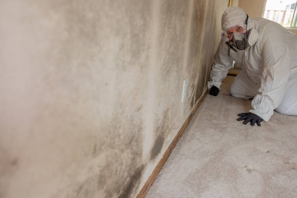 Best Mold Remediation for Healthcare Facilities  in Marion, MS